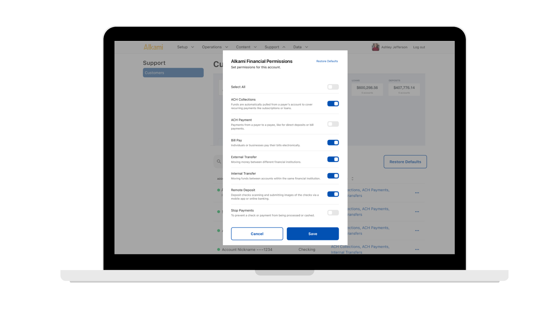 Administrative dashboard for financial institutions showing account-level permissions and security toggles.